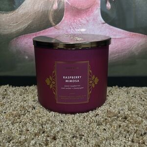 Raspberry Mimosa Bath & Body Works Candle
